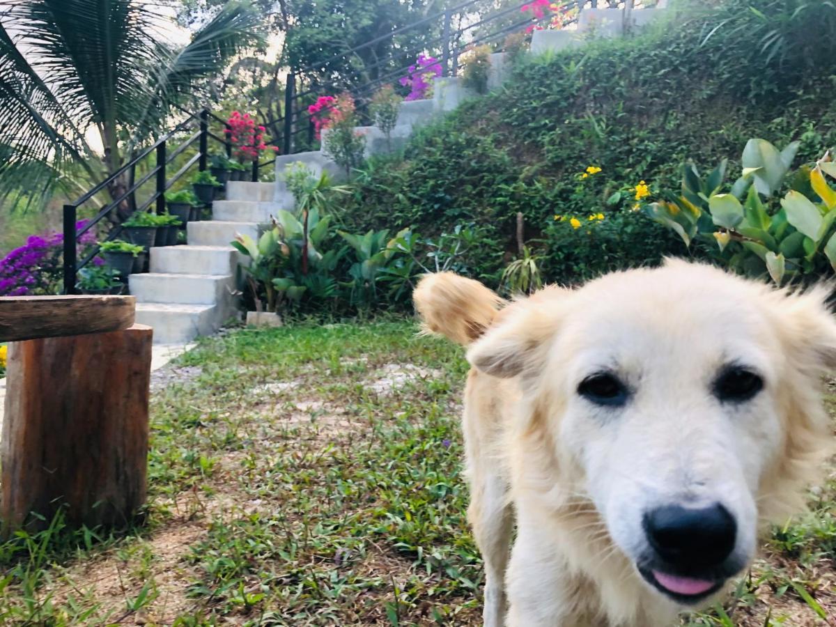 Baanhatsompaen Homestay Ranong Eksteriør billede